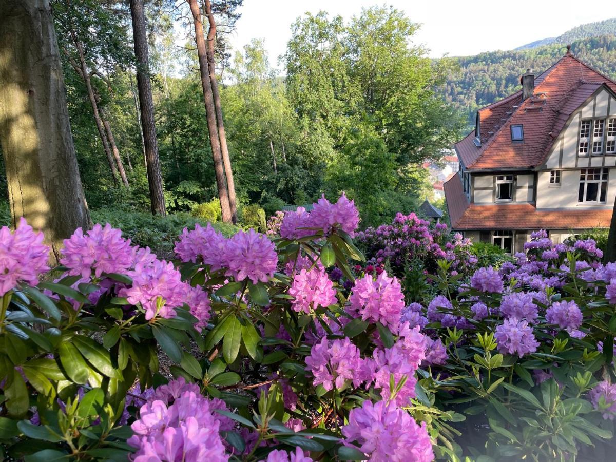 Villa Sonnenburg Bad Schandau Exterior photo
